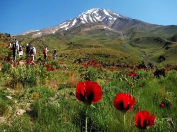 Mountain Discovery